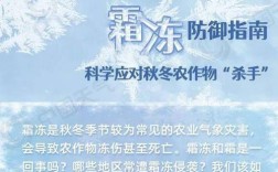 一般多少度才会结霜？霜冻的温度是多少