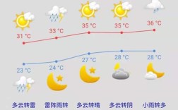 山东东营天气预报？东营天气最热是多少度