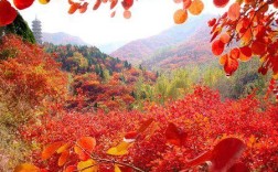 临沂红叶山景区最佳时间？临沂红叶谷门票多少钱