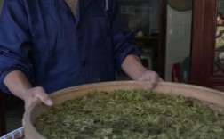 西湖龙井杀青温度？西湖的温度是多少