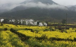 江西婺源几月份去最好？婺源三月份气温多少度