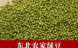 绿豆品种排名？洮南最低温度是多少