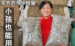 什么地方生长艾叶好？明天黄冈蕲春的温度是多少