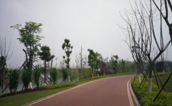 仁寿城南湿地公园为何停工？仁寿县今天天气多少度