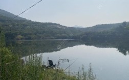 泰安市黄花岭水库让不让钓鱼？泰安大气污染多少吨