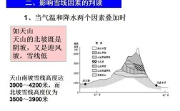雪线和林线含义的区别？最高雪线是多少
