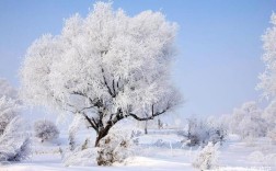 气温多少度才会看到下雪和雾淞？积雪需要多少度