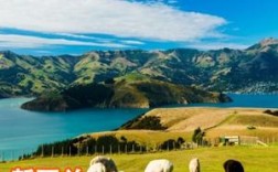 新西兰自由行20天旅游费用多少？新西兰一周光吃饭费用多少钱