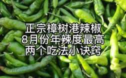 樟树港椒辣度是多少？江西樟树气温多少