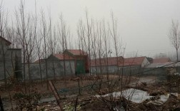 山东省临沂市沂水县马站镇祉村邮编是什么？浙江苍南马站的邮编是多少