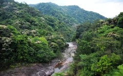 从化有名的山？从化大岭山最高海拔多少米