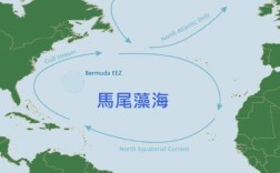 马尾藻海是世界上著名的洋中之海是对吗？马尾岛面积是多少