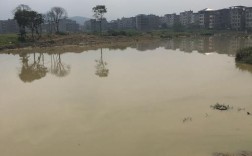 福州一年四季的气候是什么样的？闽清发大水死了多少人