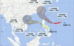2020多少个台风登陆海南？2020年台风多少级