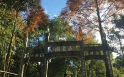 温州茶山校区附近有什么地方好玩？五美园景区多少钱