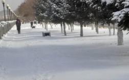 1998年北方冬天的雪大吗？98年最低温度是多少