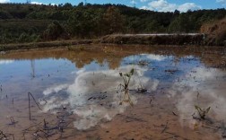 永仁气候特点？气温是多少永仁县