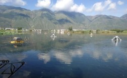 洱海水质明显下降的原因？玉溪多少浓度