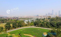南宁历史天气？南宁1月份天气温度多少