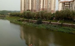 荣昌区面积？荣昌温度多少度