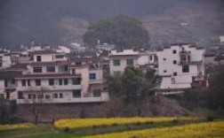 362329和361127是哪里的身份证？婺源电话号码区号是多少