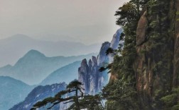 形容苍山上的松树葱葱郁郁？苍山夏天多少度