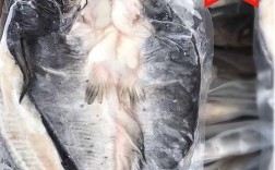 冰冻花鲢4个月能吃吗？花莲需要多少天