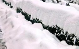 石家庄哪年下雪最大？降雪量达到多少封高速