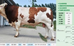 2126千克加310是多少斤？2126kg 多少磅