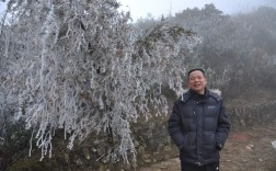 三明罗拔顶海拔多少？印江洋溪镇海拔多少