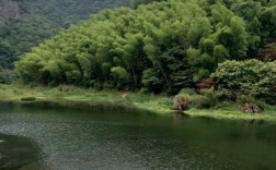 新昌气候特点？新昌县今天气压多少