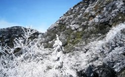 2023清远12月份下雪吗？清远的冬天最冷多少度