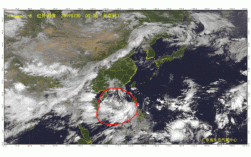 中国刮风最大的地方排名？湛江徐闻明天的台风多少级