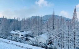 金华一闪一闪亮晶晶有下雪场吗？金华的冬天最冷多少度