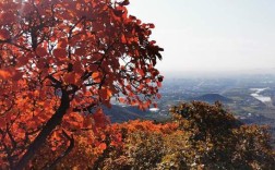 北京蟒山9月初有红叶吗？大兴大兴pm2.5是多少