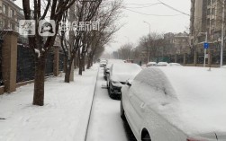 天津暴雪会停课吗？天津多少天未见雨雪