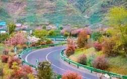 安康到蒿坪高速多少公里,过路费多钱？蒿坪镇到安康走高速多少公里