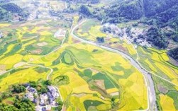 达州黄都有什么发展？务川黄都镇有多少人口