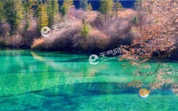九寨沟海拔多少米？九寨沟市海拔多少米