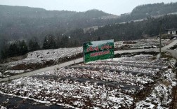 巴中在四川哪里？通江山上冬天最低温度是多少