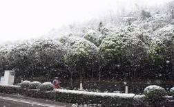 重庆至今哪一年冬天最冷？重庆冬天12月大概多少度