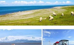 8月西宁青海湖旅游温度？西宁8月温度多少