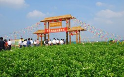 2023横县茉莉花节几月几号举行？校椅到马岭镇需要多少时间