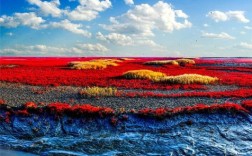 红海滩8月份要门票吗？十二月盘锦红海滩门票多少