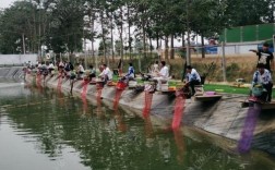 福建可以钓鱼住宿的地方？金湖县最冷天气多少度