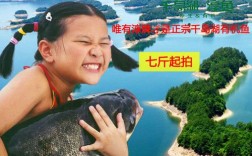 千岛湖的包头鱼到底是不是花鲢鱼啊？唐村无核柿多少一斤