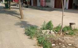 从平顶山市区去张良镇怎么坐车？路费大概是多少？鲁山张良镇离平顶山多少公里