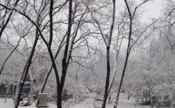 博山区下雪大不大？淄博冬天1月多少度