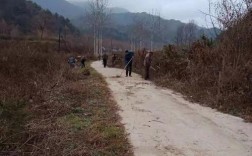 西北小强是成都人吗？徽县伏家镇海拔高度多少