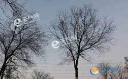 北京冬天一般多少度？延庆明天白天多少度